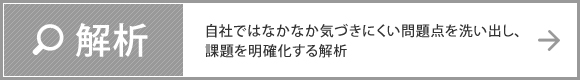 解析　自社ではなかなか気づきにくい問題点を洗い出し、課題を明確化する解析