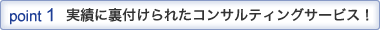 POINT1 実績に裏付けられたコンサルティングサービス!